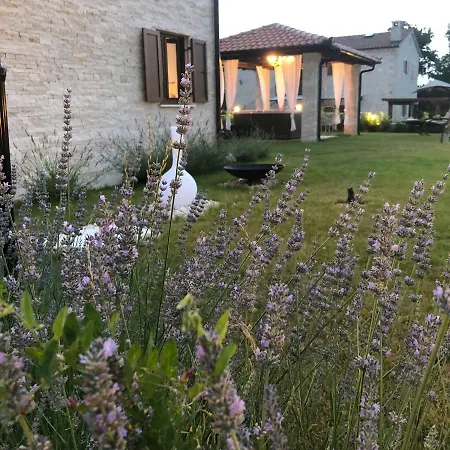 Villa Luka Visnjan Exterior photo