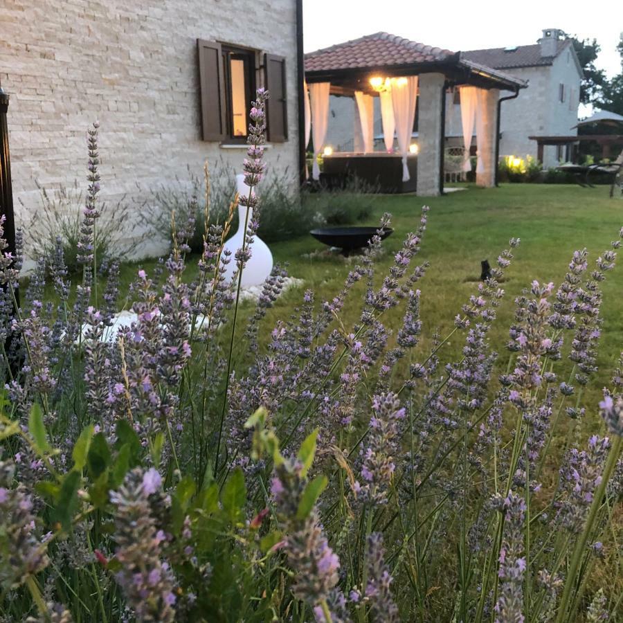 Villa Luka Visnjan